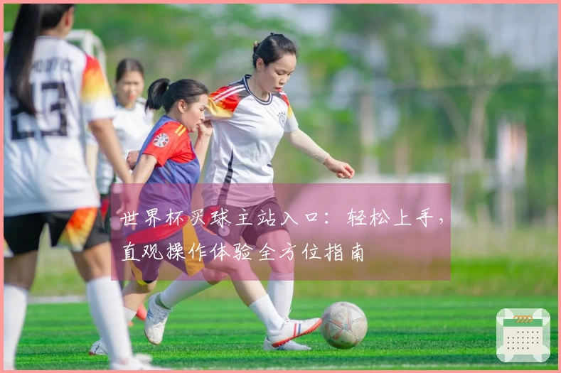 世界杯买球主站入口：轻松上手，直观操作体验全方位指南