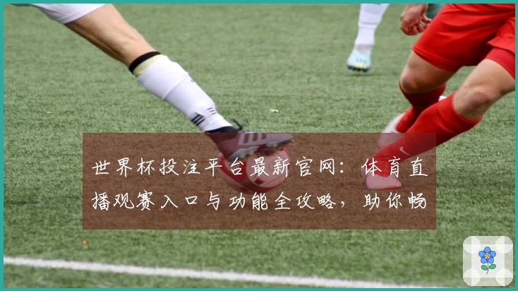 世界杯投注平台最新官网:体育直播观赛入口与功能全攻略,助你畅享精彩赛事体验