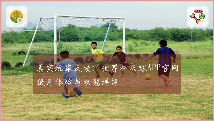 真实玩家反馈：世界杯买球APP官网使用体验与功能详评