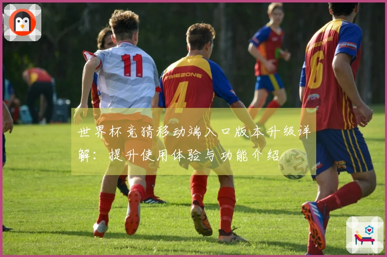 世界杯竞猜移动端入口版本升级详解：提升使用体验与功能介绍