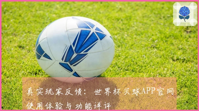 真实玩家反馈：世界杯买球APP官网使用体验与功能详评